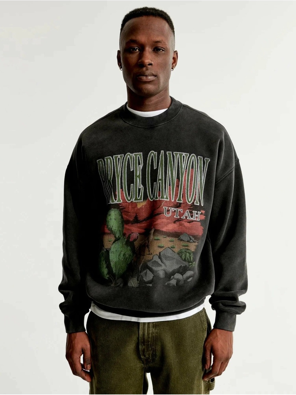 Abercrombie & Fitch Black Bryce Canyon Graphic Crewneck